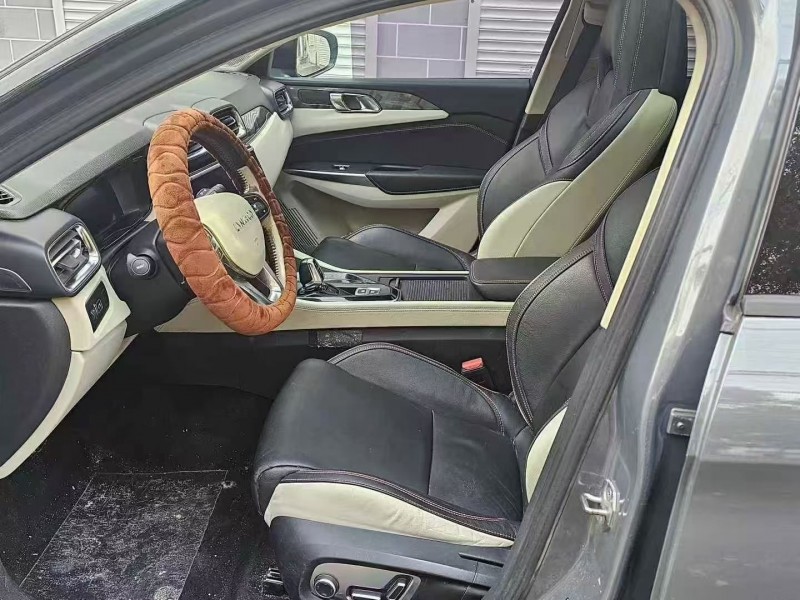 济宁20年领克028