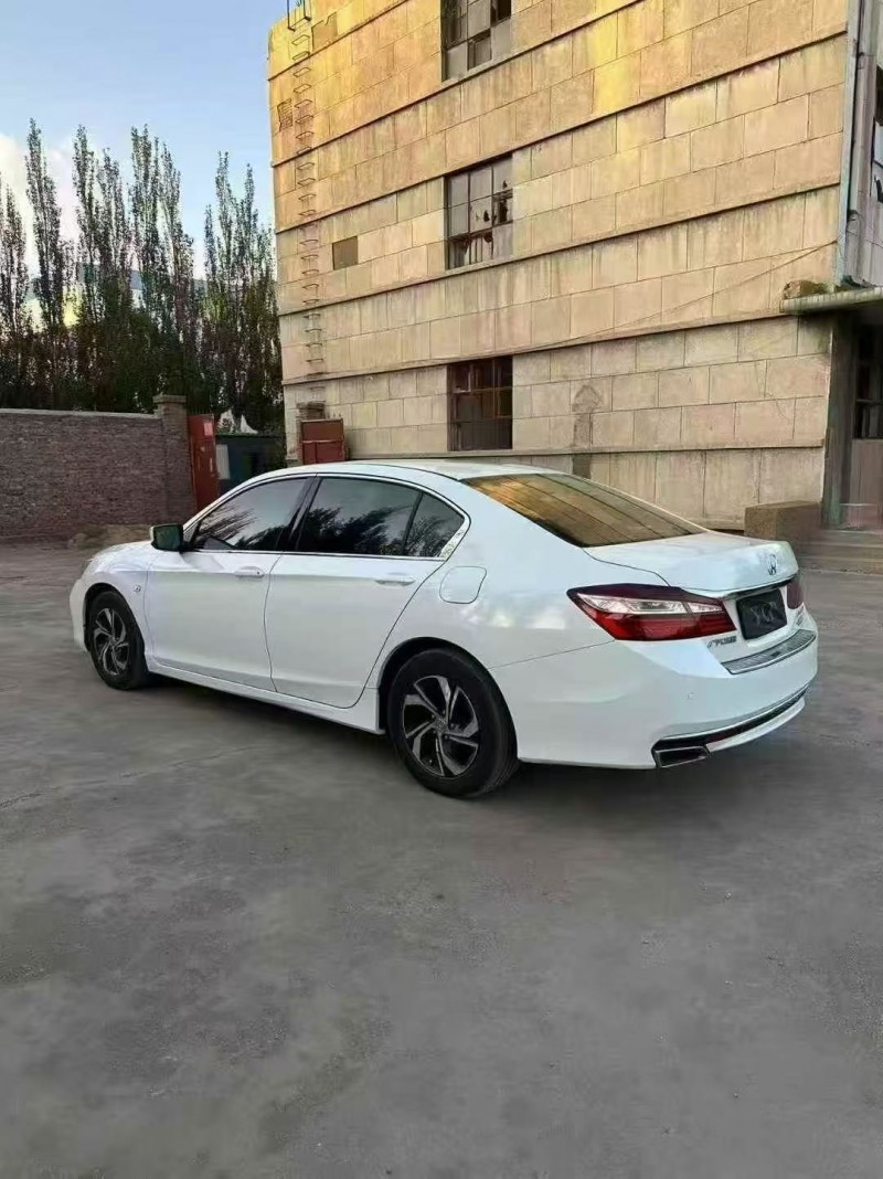 枣庄18年本田英诗派7