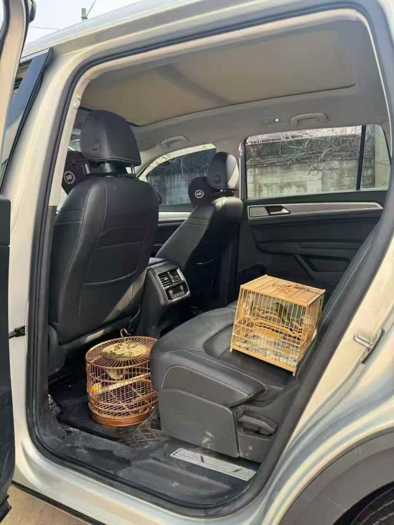 东营20年大众途昂5