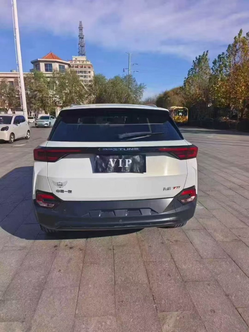 秦皇岛20年奔腾T779