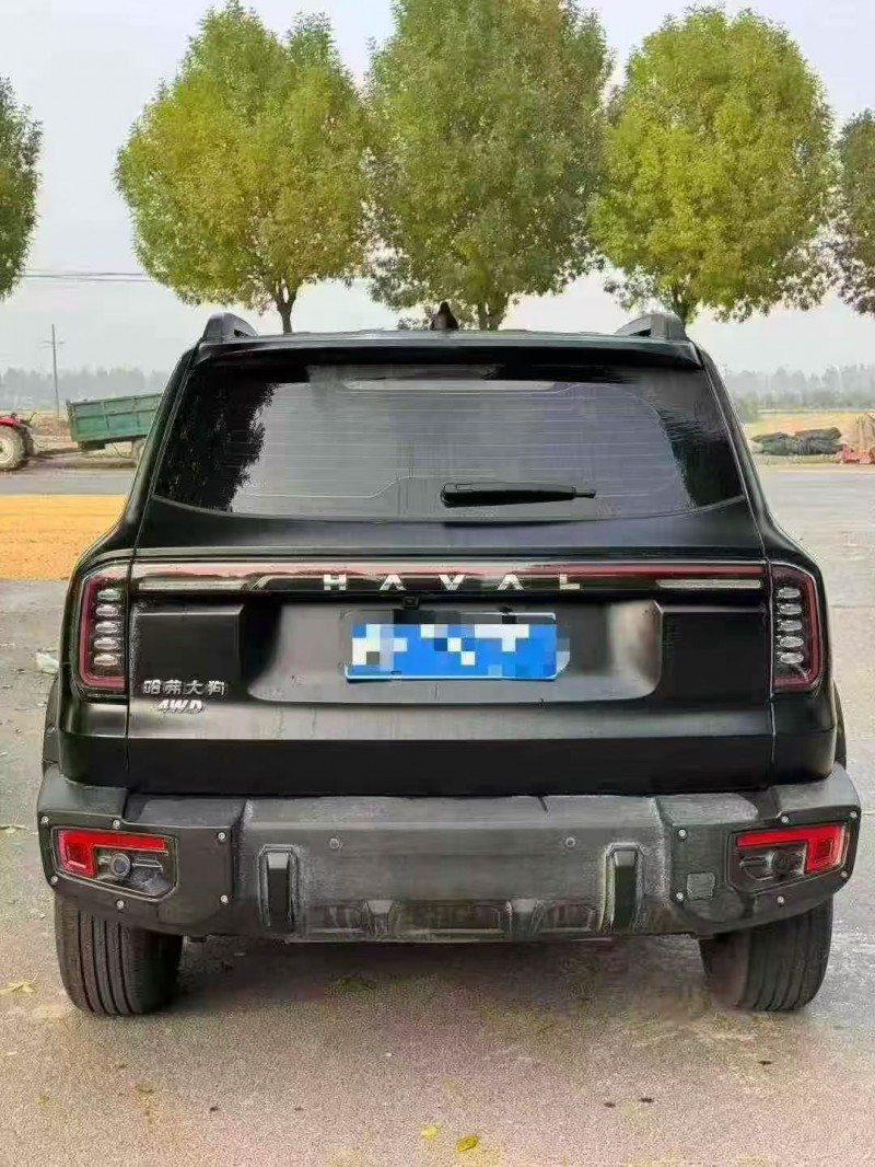 枣庄24年哈弗大狗7