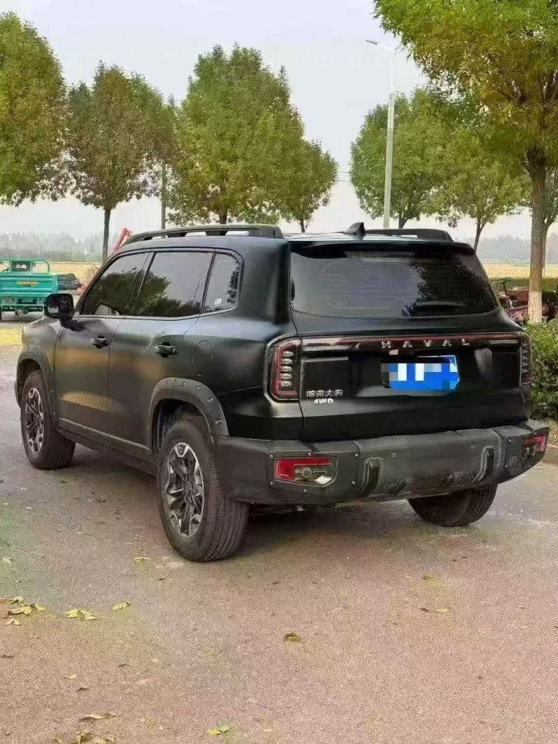 枣庄24年哈弗大狗9