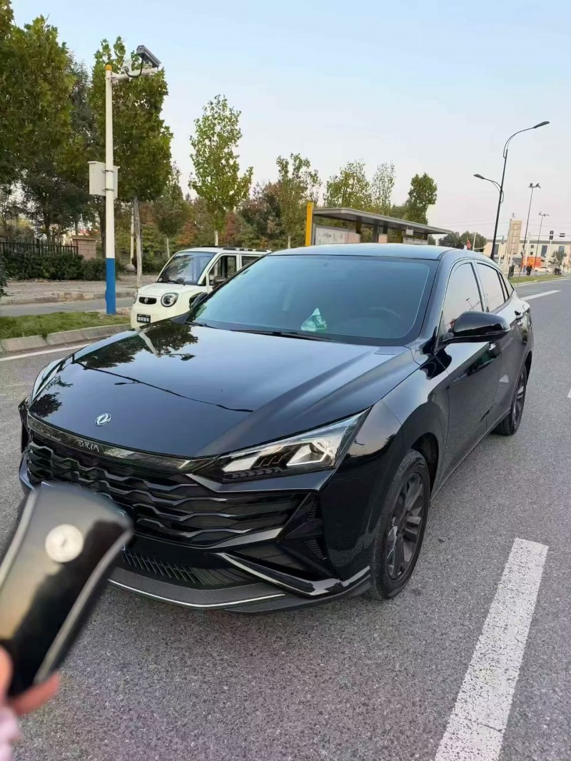 淄博25年东风奕炫2