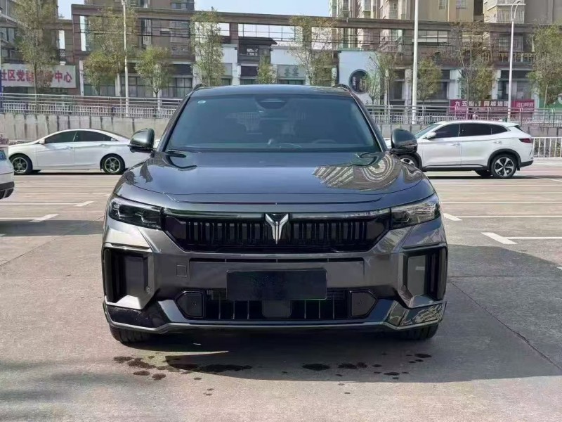 淮南25年岚图汽车FREE1