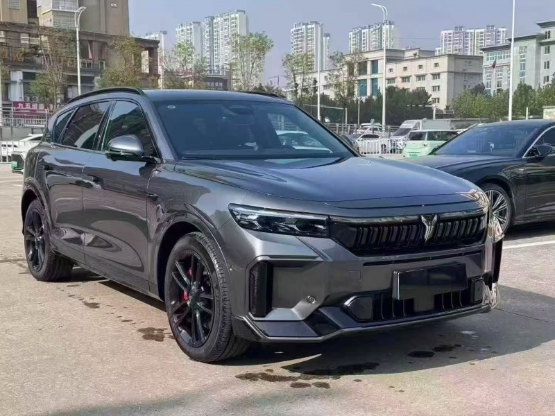 淮南25年岚图汽车FREE3