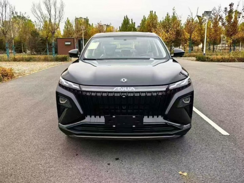 济宁25年东风风神1