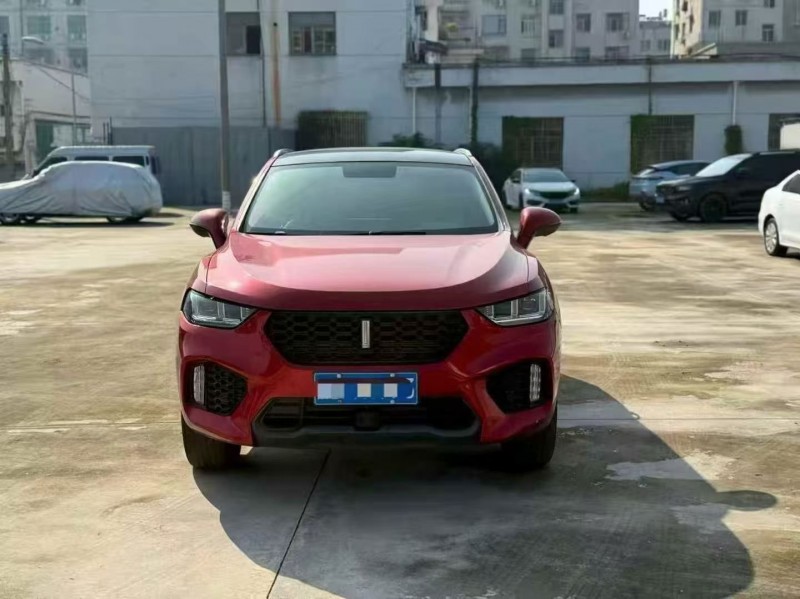 湖州19年长城汽车魏牌1