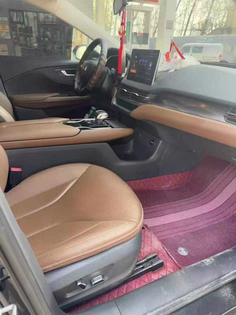 菏泽22年红旗E-QM55