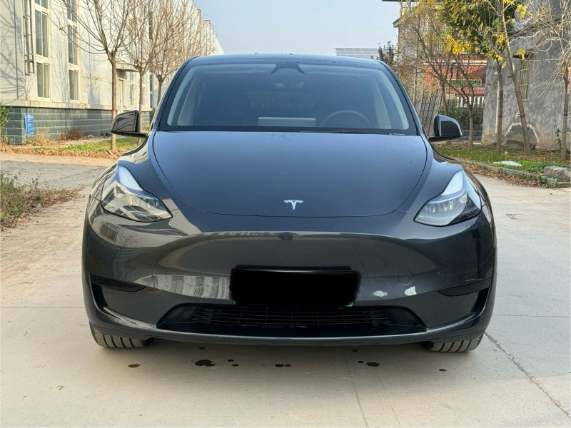 新乡24年特斯拉MODEL Y1