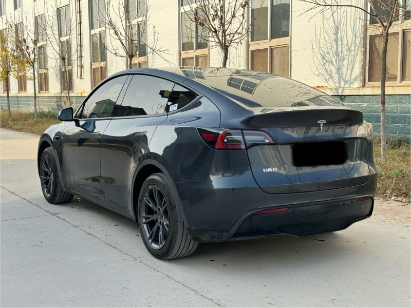 新乡24年特斯拉MODEL Y9