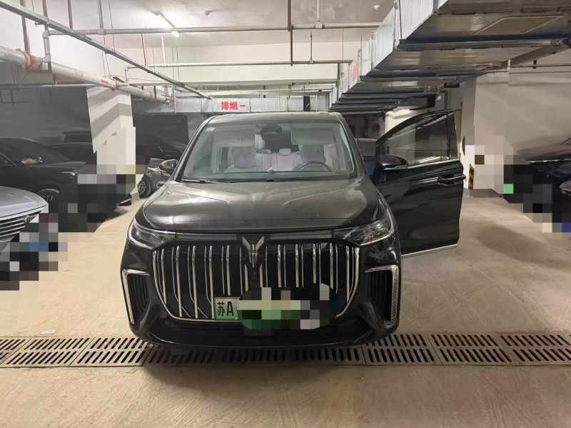 广州24年腾势D91