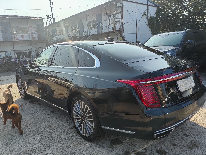 长沙21年红旗H98