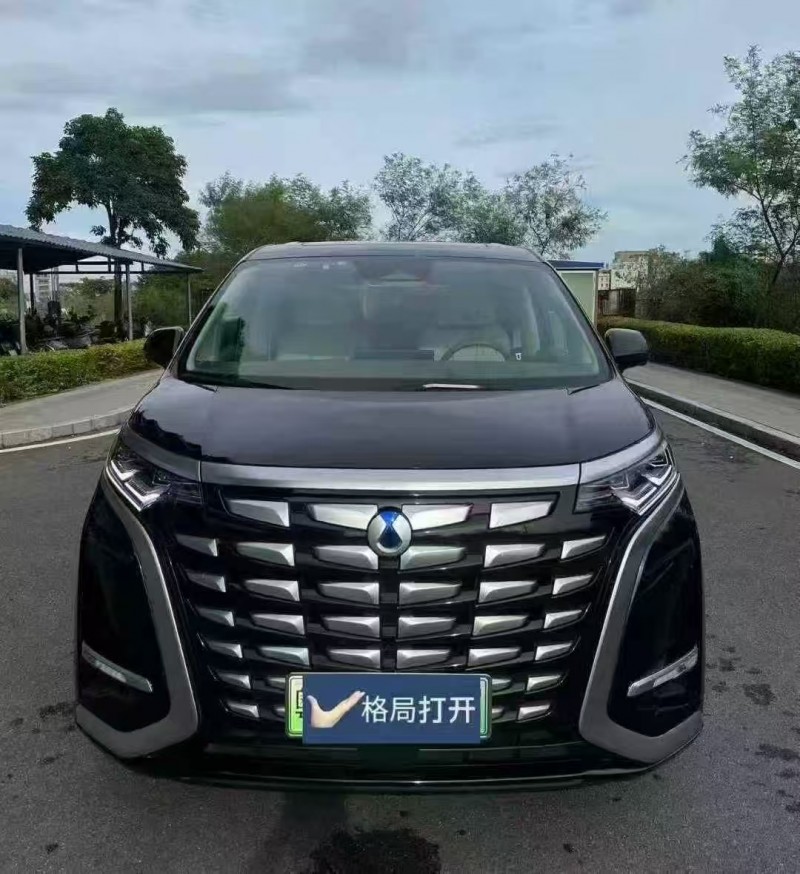 广州23年腾势D91