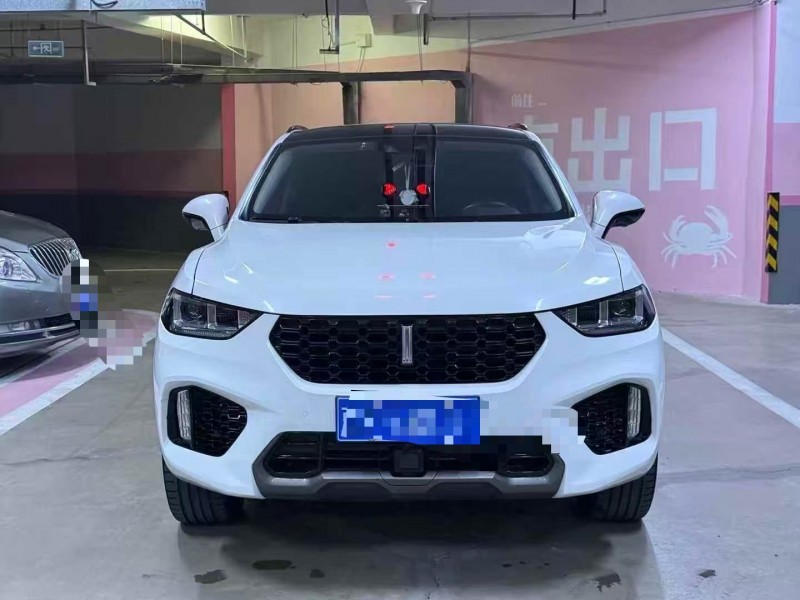 沧州18年长城汽车魏牌1