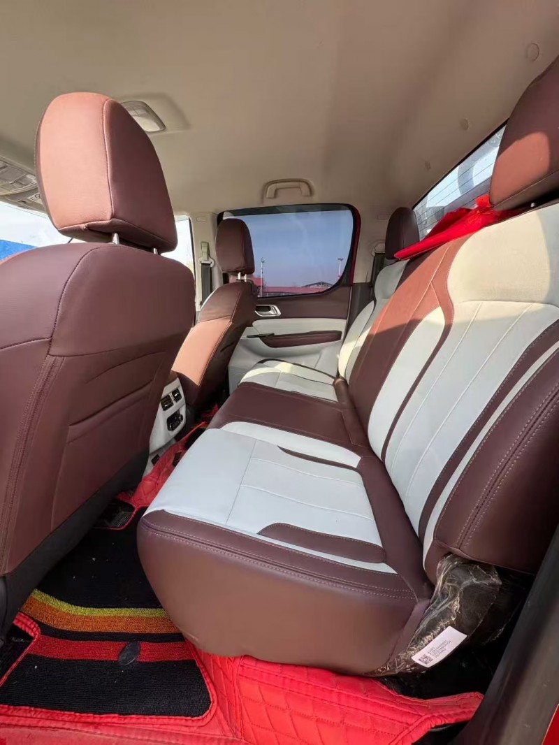 菏泽24年福田大将军4