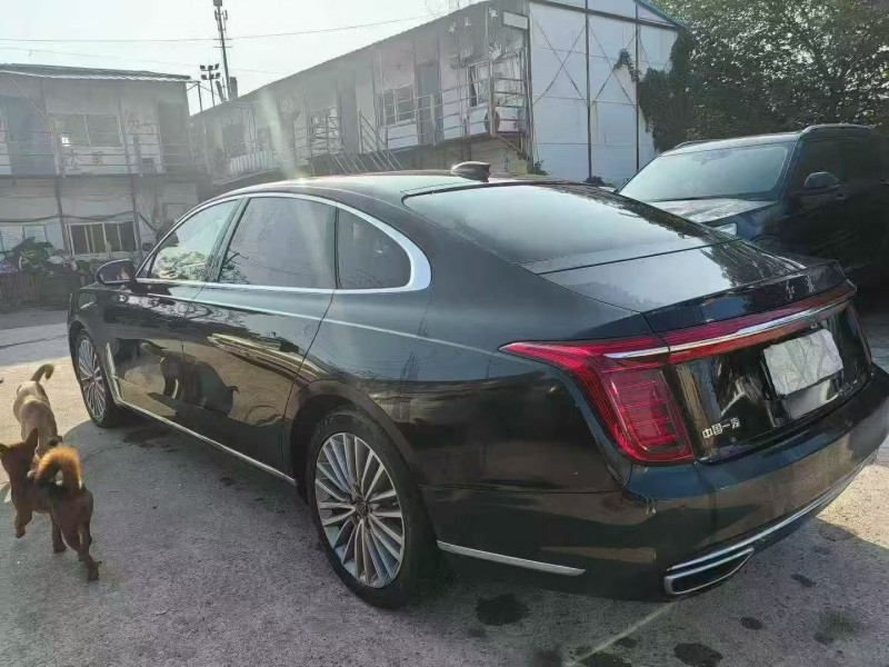 株洲21年红旗H97