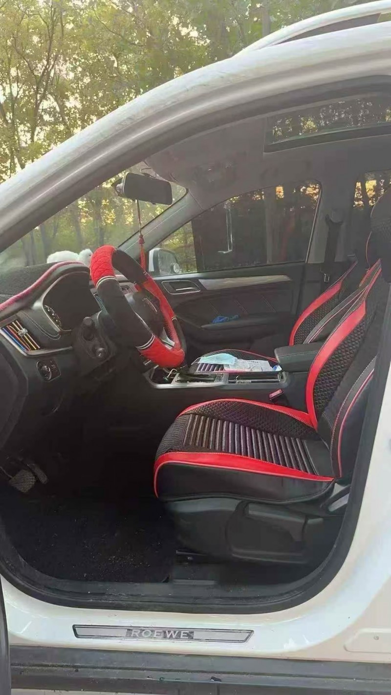 淄博19年荣威RX55