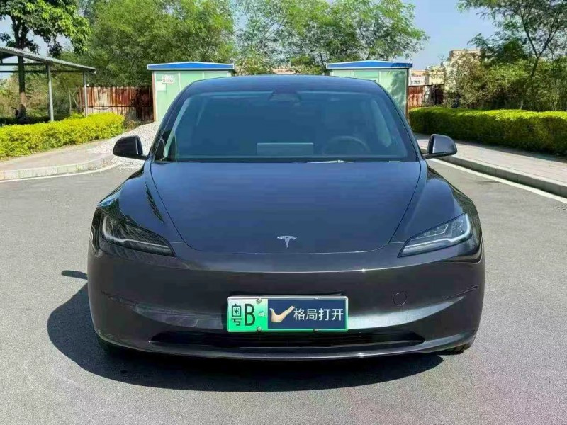 东莞24年特斯拉MODEL 31