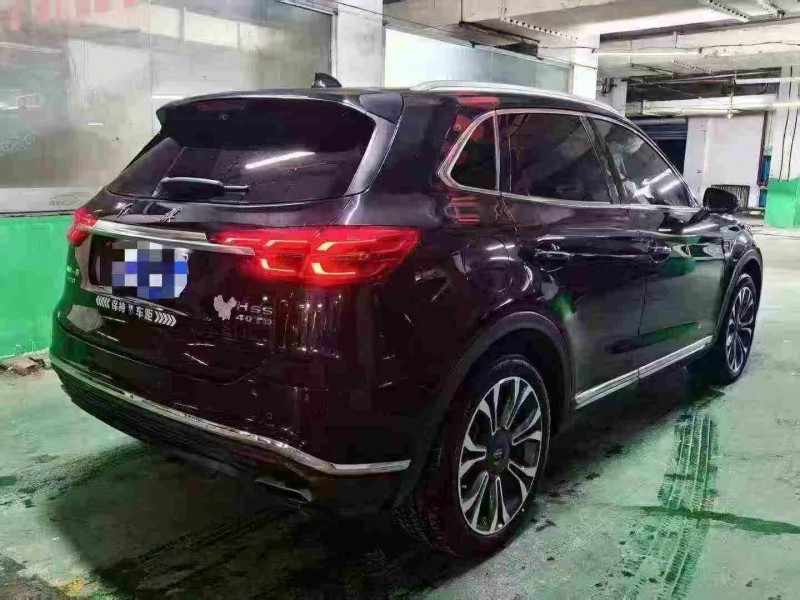 绍兴20年红旗HS58