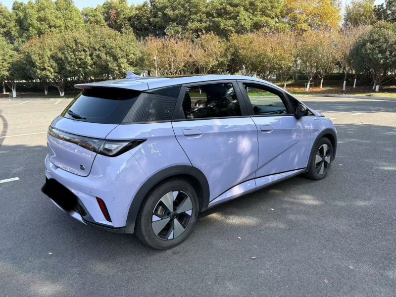 连云港23年比亚迪海豚8