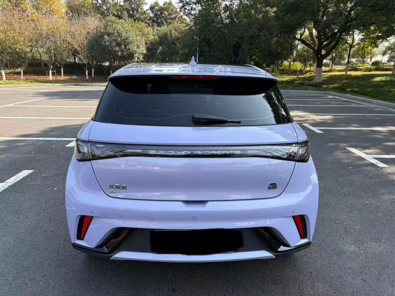 连云港23年比亚迪海豚9