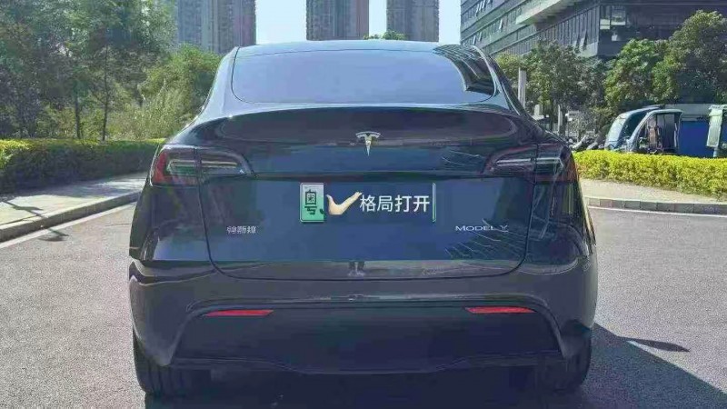 东莞24年特斯拉MODEL Y9