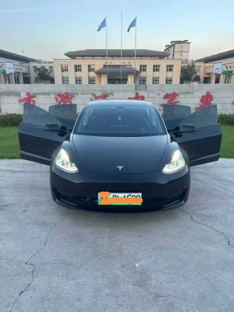 徐州21年特斯拉MODEL 31