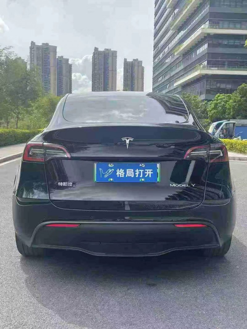 东莞23年特斯拉MODEL Y9
