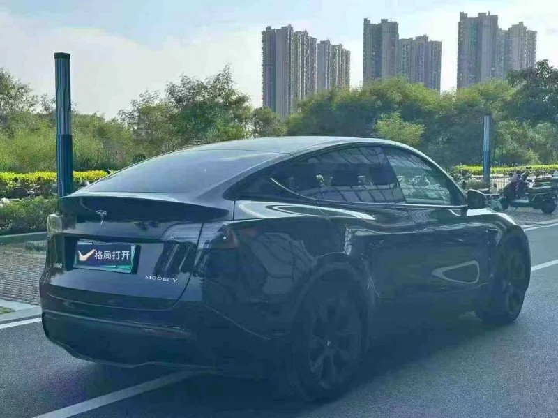 东莞24年特斯拉MODEL Y8