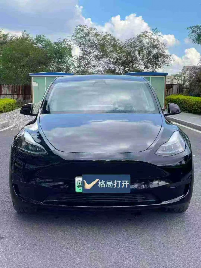 东莞24年特斯拉MODEL Y1