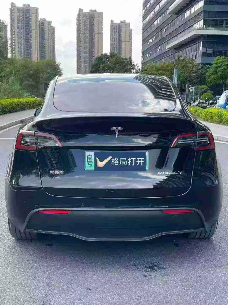 东莞24年特斯拉MODEL Y9