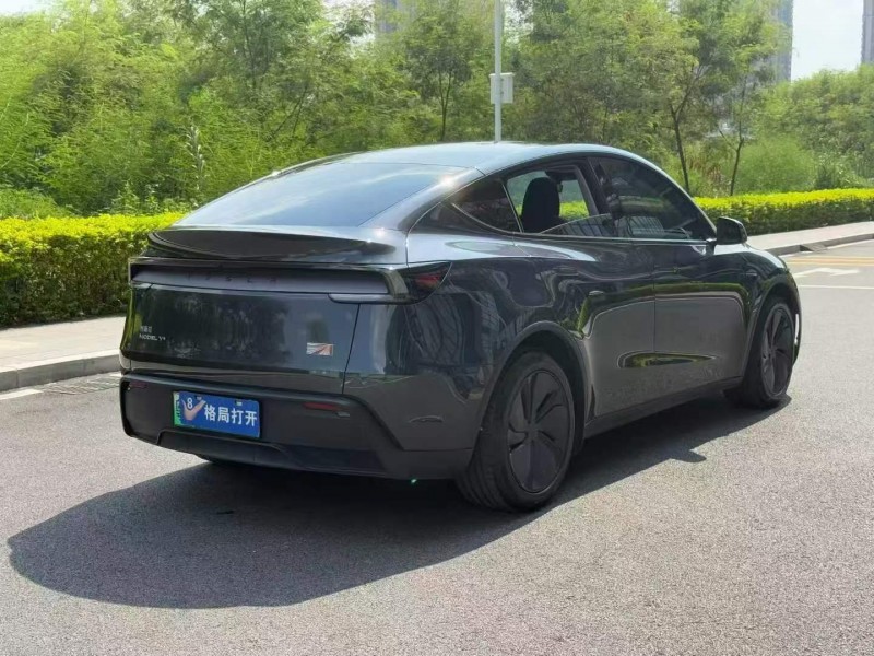 东莞25年特斯拉MODEL Y8