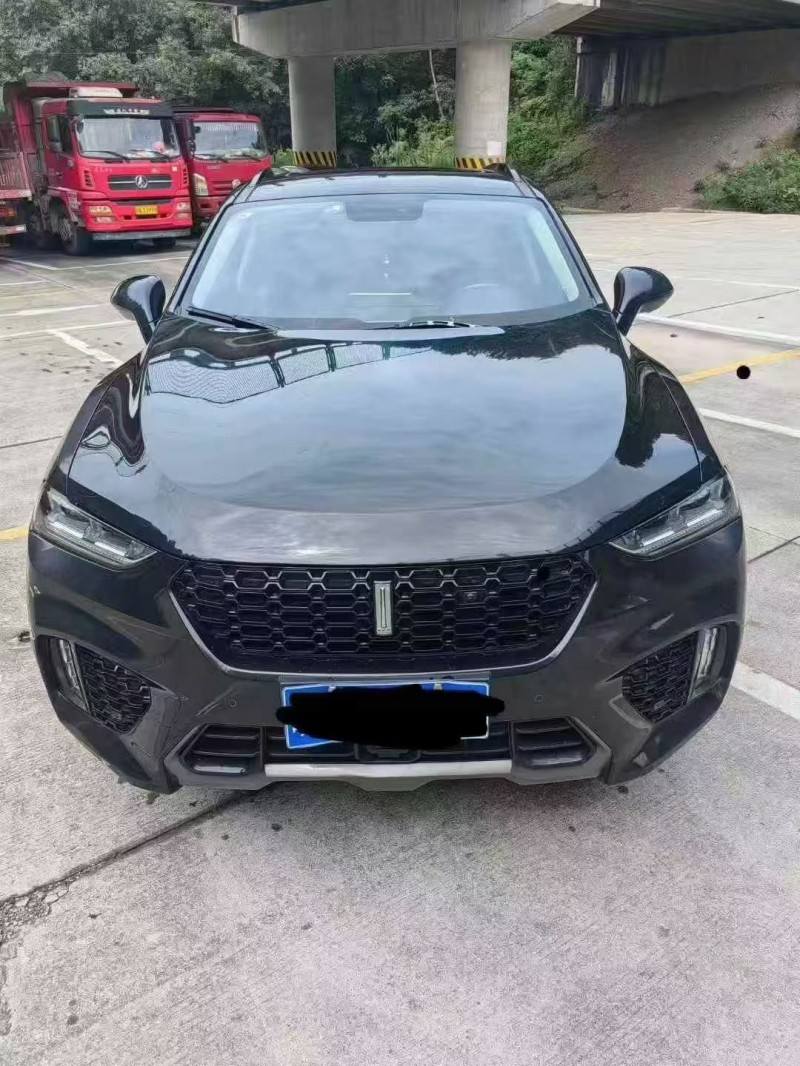 淮南17年长城汽车魏牌1