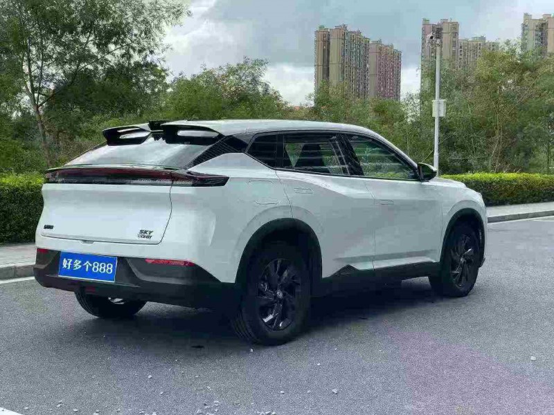 东莞25年东风风神8