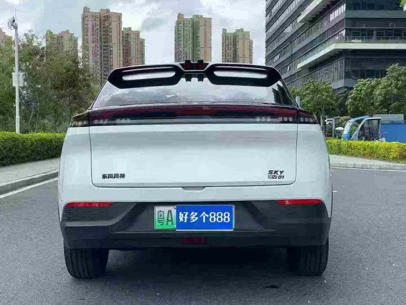 东莞25年东风风神9