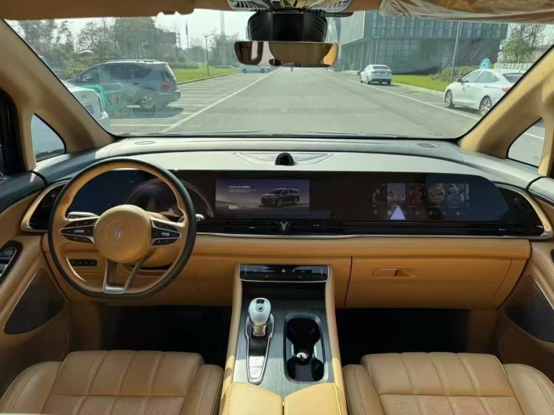 徐州24年岚图汽车梦想家4