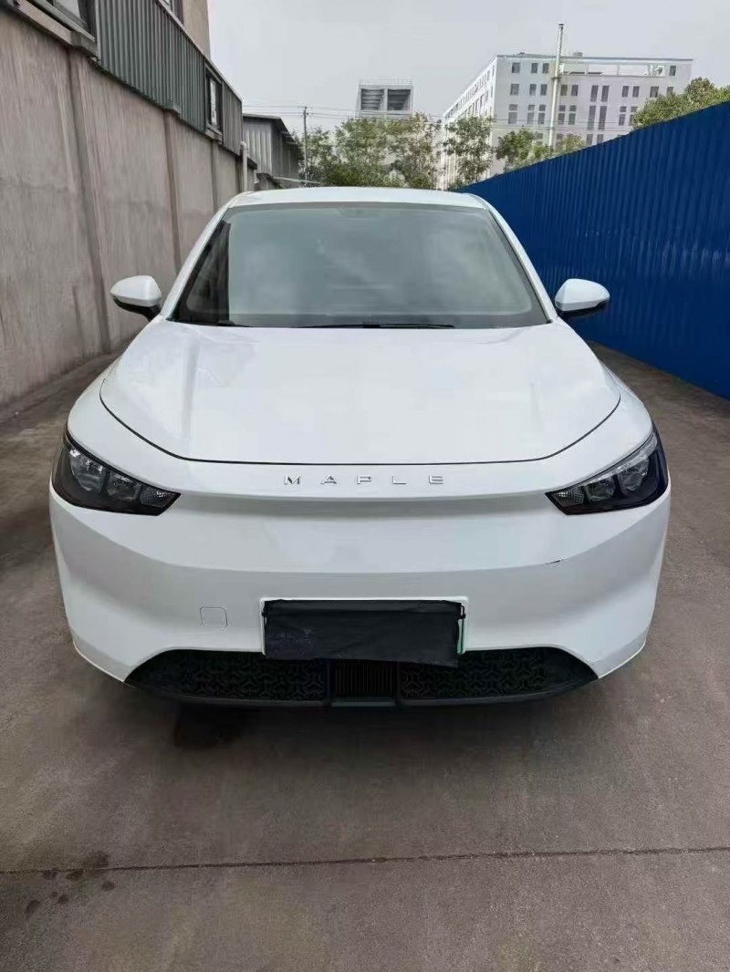 嘉兴24年吉利枫叶1