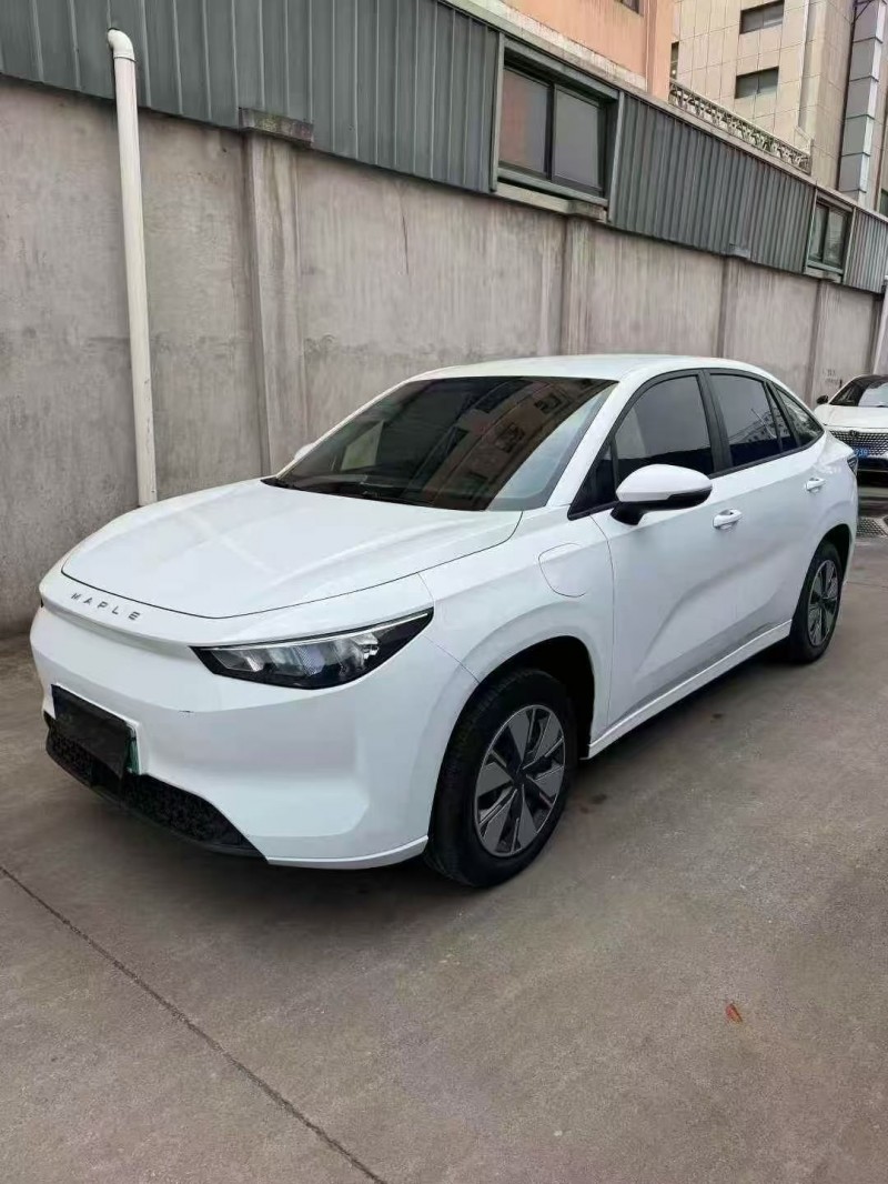 嘉兴24年吉利枫叶2