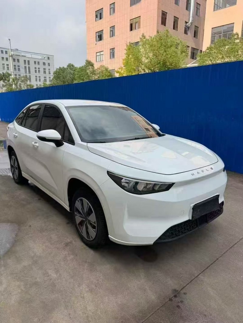 嘉兴24年吉利枫叶3