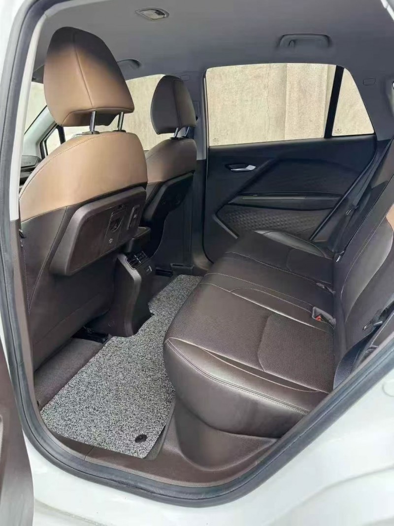 嘉兴24年吉利枫叶5