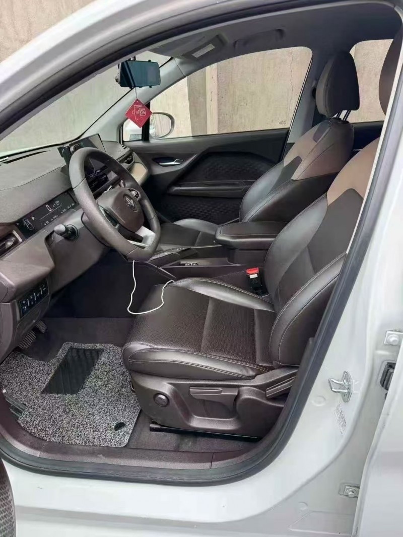 嘉兴24年吉利枫叶6