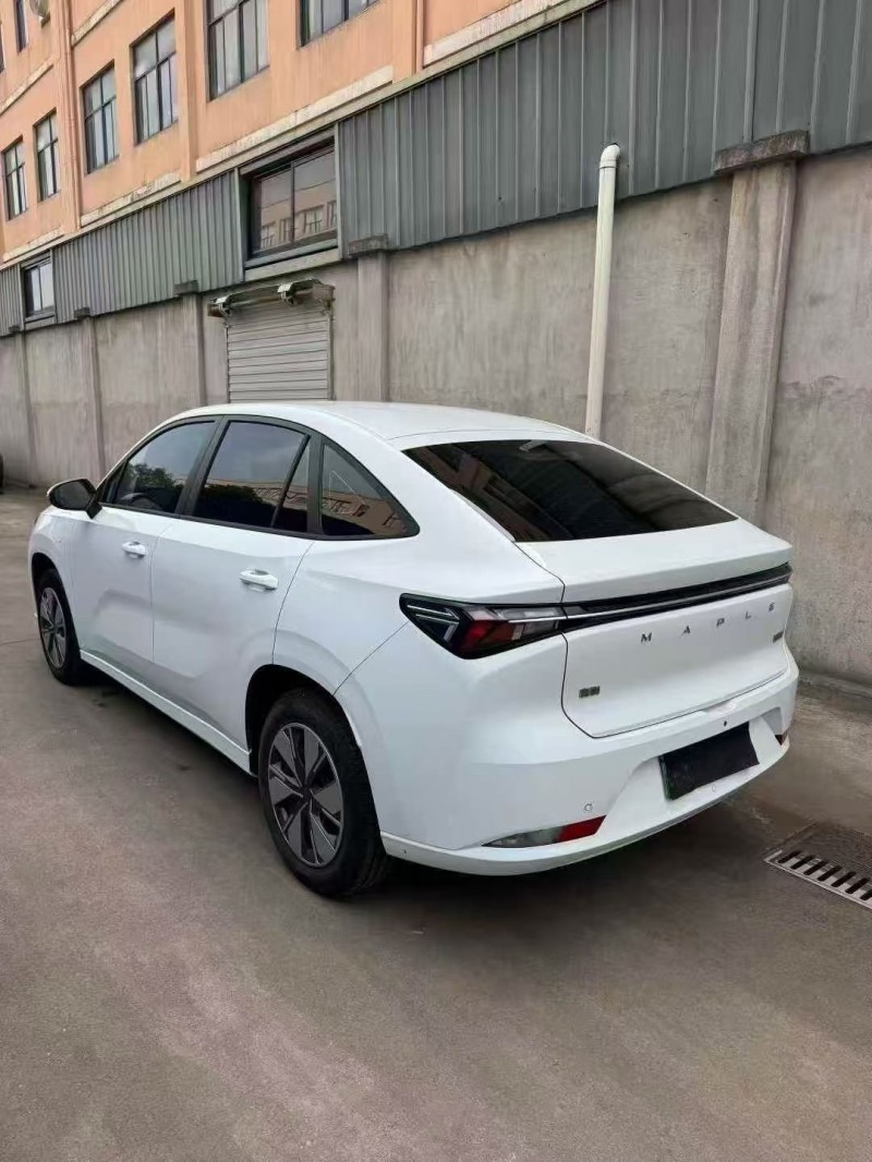 嘉兴24年吉利枫叶7