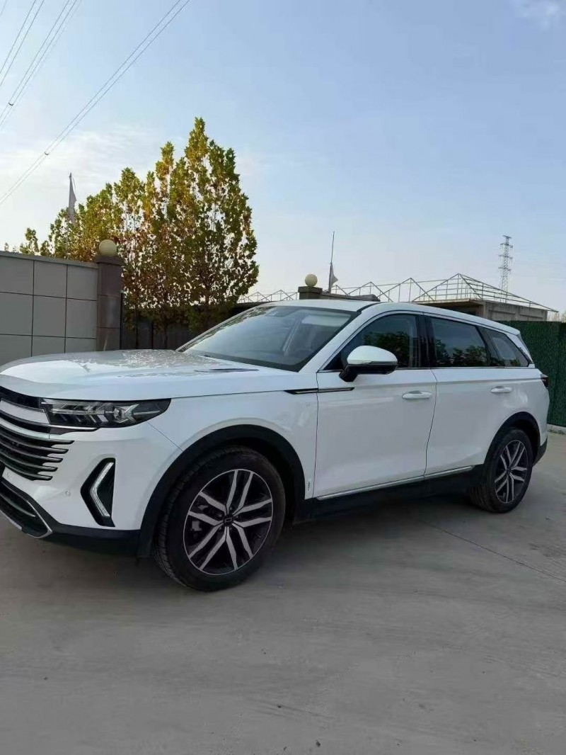 东营24年奔腾T992