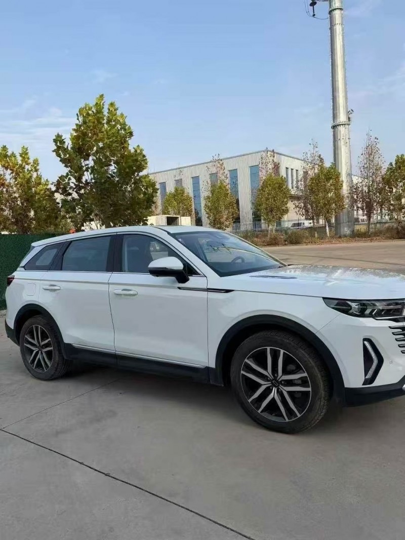 东营24年奔腾T993