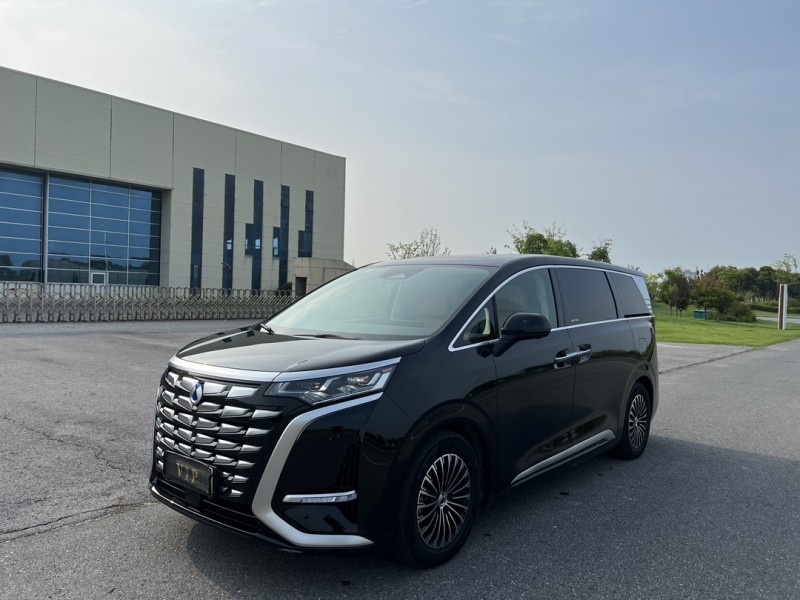 盐城24年腾势D93