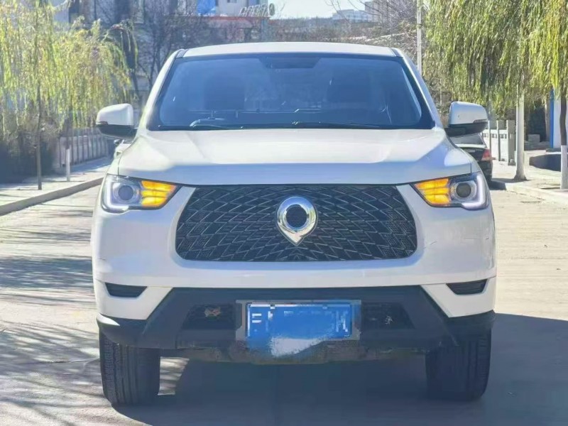 银川21年长城汽车炮 皮卡1