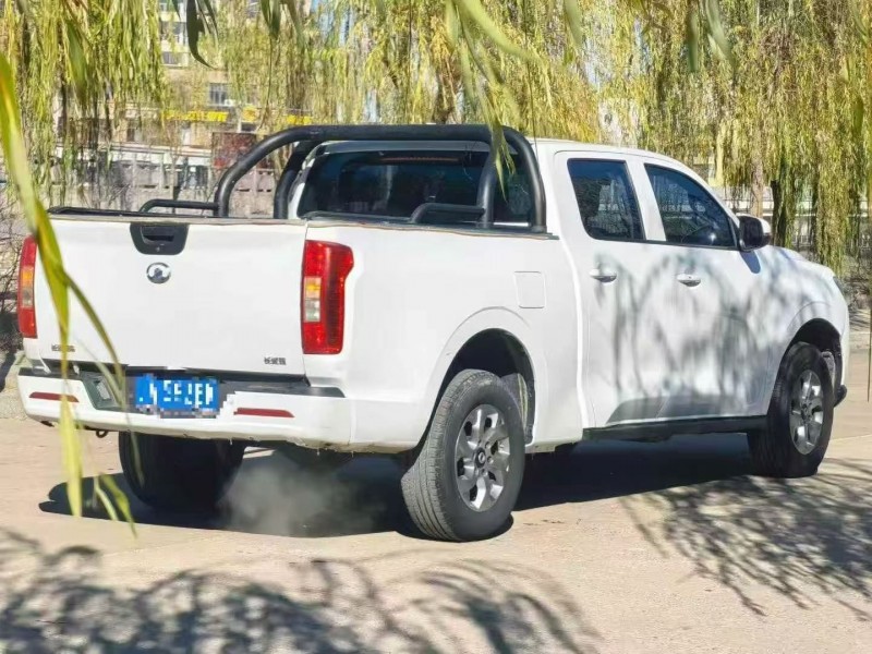 银川21年长城汽车炮 皮卡8