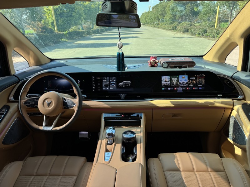 盐城24年岚图汽车梦想家9