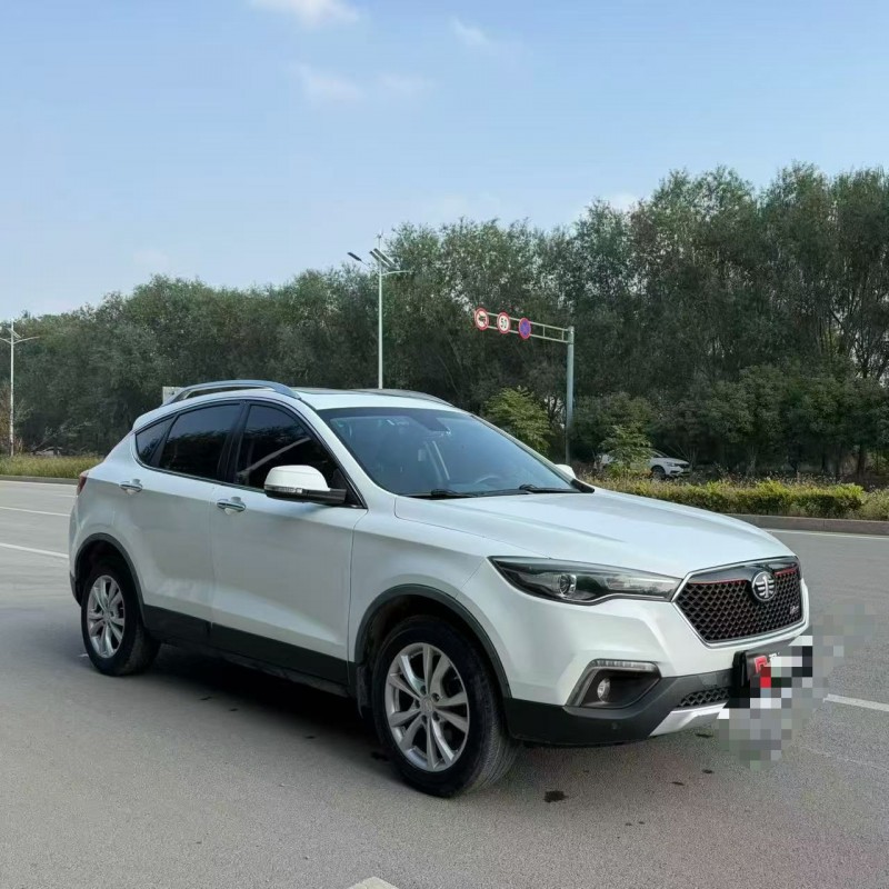 淄博16年奔腾X803