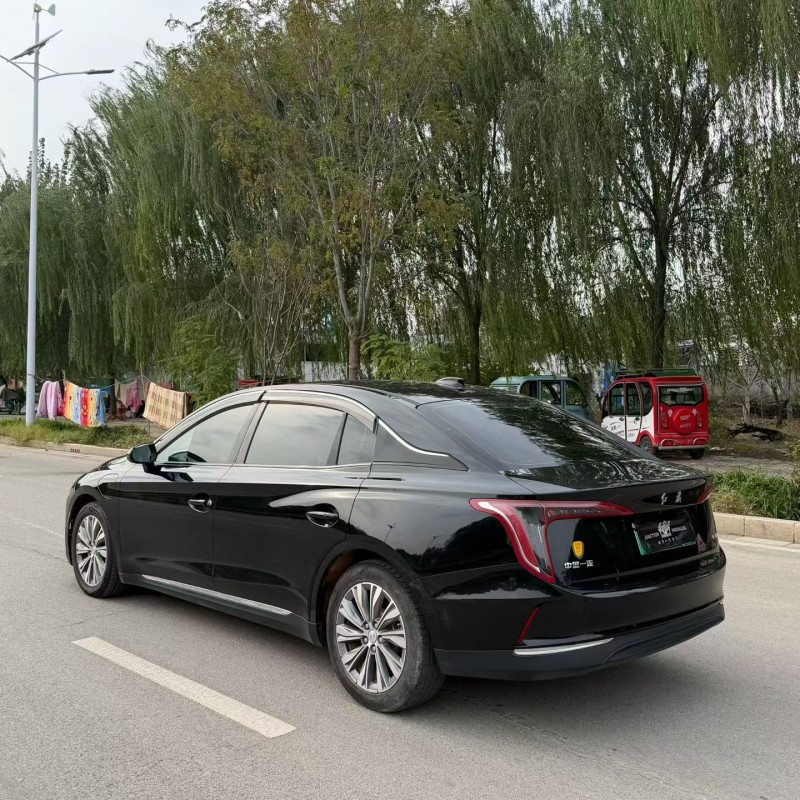 东营24年红旗E-QM59